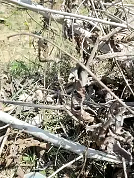 Snapshot of cute1gfbf chatting on March 5, 7:05 am cute1gfbf online show from March 5, 7:05 am