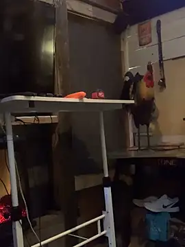 Polaroid White online show from March 6, 6:41 am