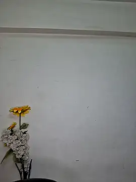 Noor-Bold online show from November 7, 2:00 am