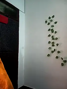 Snapshot of Neha-Bhabhi-Rasily chatting on November 27, 5:20 am Neha-Bhabhi-Rasily online show from November 27, 5:20 am