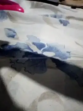 Snapshot of Sandra42 chatting on November 14, 9:52 am Sandra42 online show from November 14, 9:52 am