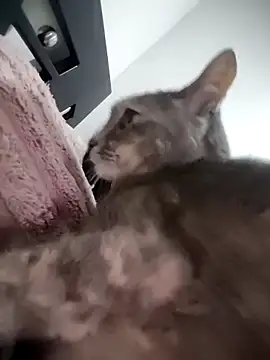 mialorents online show from November 23, 6:52 pm