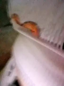 Snapshot of patrona_sexooo chatting on October 11, 12:58 pm patrona sexooo online show from October 11, 12:58 pm