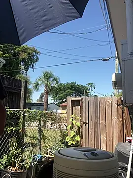 Snapshot of anthonyroth chatting on March 21, 5:56 pm anthonyroth online show from March 21, 5:56 pm