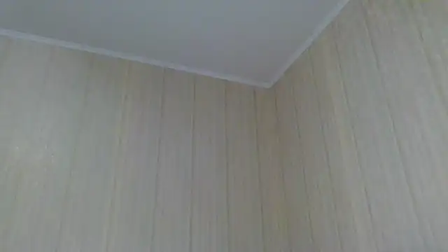  Black-Panther  online show from October 5, 12:03 pm