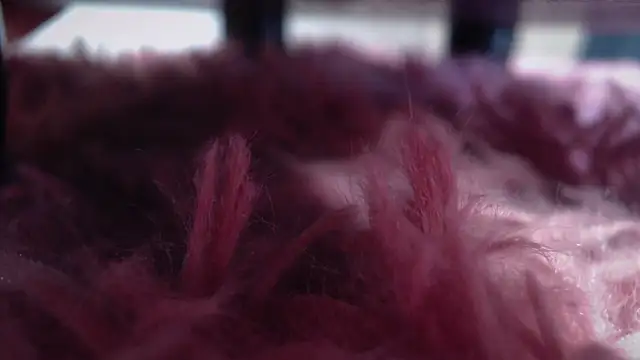 Taylor dolll online show from October 1, 2:12 pm