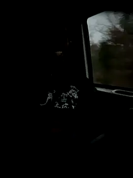 Sir-Tucker online show from November 26, 9:27 pm