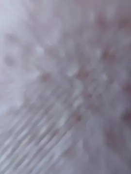 Snapshot of So8nan chatting on September 21, 1:02 pm So8nan online show from September 21, 1:02 pm