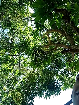 Snapshot of perversumm chatting on September 21, 4:19 pm perversumm online show from September 21, 4:19 pm