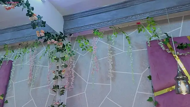 MilleyJones online show from November 5, 7:47 pm