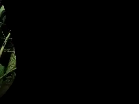 Snapshot of ConfidedAward chatting on September 13, 11:21 am ConfidedAward online show from September 13, 11:21 am