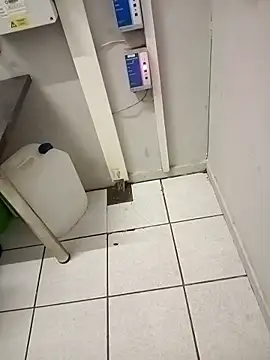 Snapshot of paptsimo chatting on November 25, 2:44 am paptsimo online show from November 25, 2:44 am