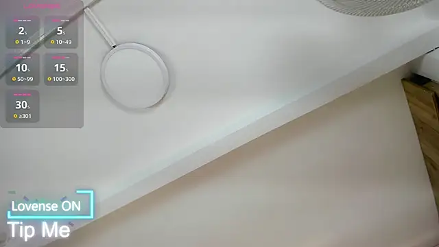 VICTORIAGRAYS online show from November 29, 11:24 am