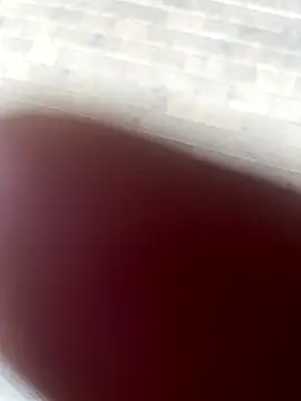 Snapshot of kamo012000 chatting on October 9, 2:37 pm kamo012000 online show from October 9, 2:37 pm