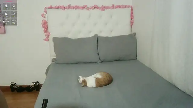 Snapshot of AbrilVelastegui7 chatting on October 5, 3:38 am AbrilVelastegui7 online show from October 5, 3:38 am