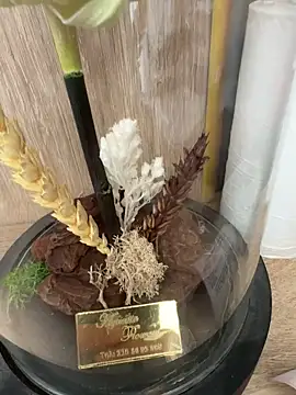 Snapshot of Mrdim26 chatting on October 11, 12:58 pm Mrdim26 online show from October 11, 12:58 pm