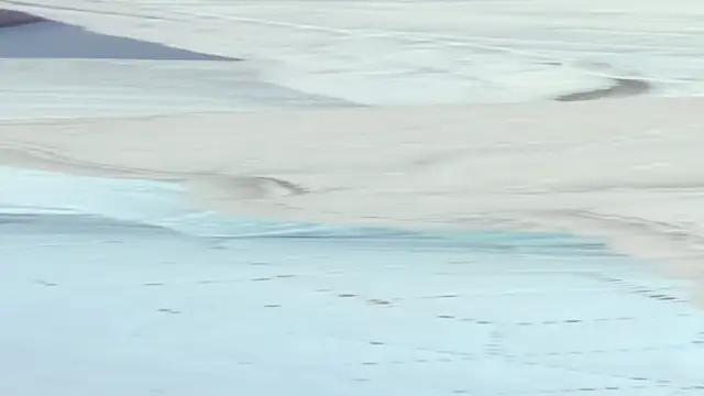 crystal sm online show from September 18, 3:08 am