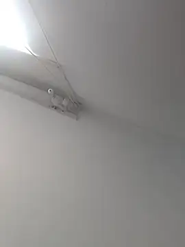 Tattoboy19cm online show from October 19, 8:09 pm