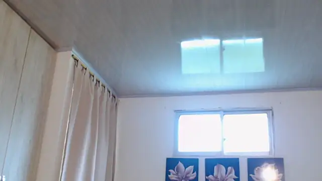 pinky f00x online show from December 2, 7:31 pm