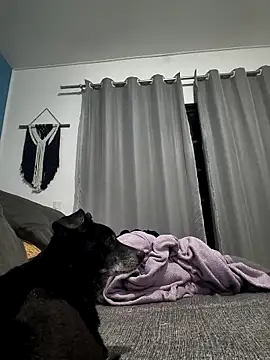 mikeara90 online show from October 22, 10:31 pm