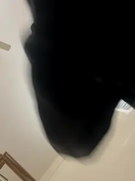 zack6x online show from December 2, 3:40 pm