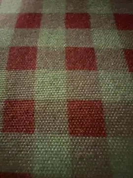 anonimgirl18old online show from November 24, 3:56 pm