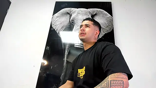 king falconer online show from October 26, 1:33 am