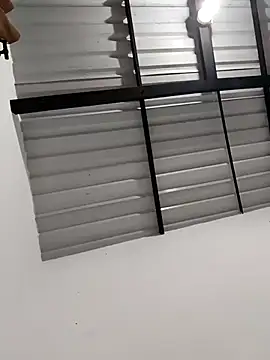 Snapshot of Hiroshi_Shen chatting on October 29, 10:17 am Hiroshi Shen online show from October 29, 10:17 am