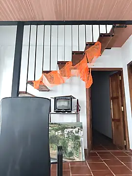 Snapshot of Hiroshi_Shen chatting on November 2, 12:07 pm Hiroshi Shen online show from November 2, 12:07 pm