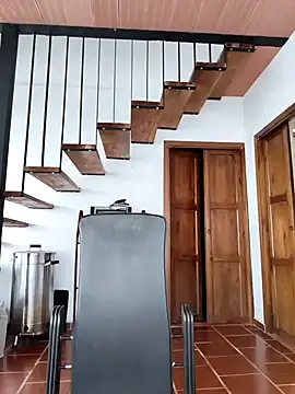 Snapshot of Hiroshi_Shen chatting on November 15, 11:29 am Hiroshi Shen online show from November 15, 11:29 am