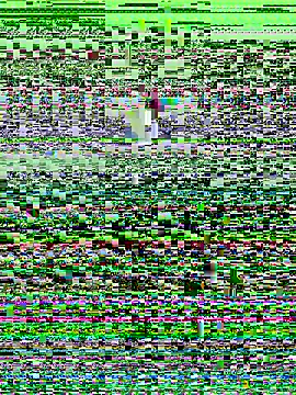 Snapshot of haiyan125216 chatting on September 9, 1:16 am haiyan125216 online show from September 9, 1:16 am