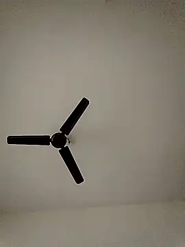 shreyas79 online show from October 26, 6:19 am