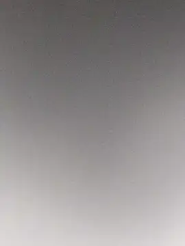 t2pnb online show from December 1, 4:45 pm