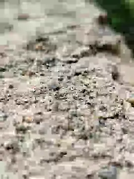 Girls pussy rider online show from September 14, 1:49 am