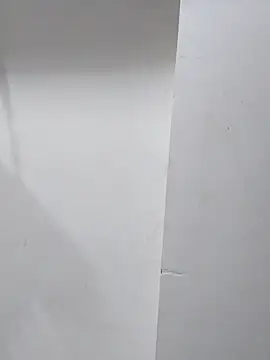 sneha bebo online show from November 1, 3:47 pm