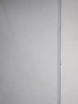 sneha bebo online show from November 30, 4:00 pm