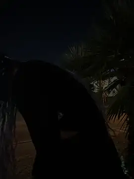 TranSexualJade95 online show from November 1, 10:06 am