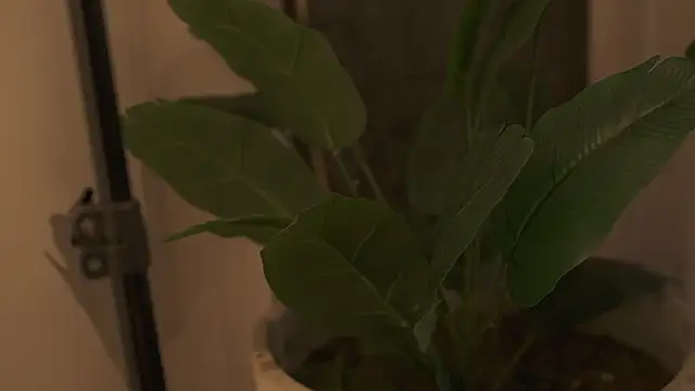 Snapshot of Ariaa_Isabell chatting on September 12, 6:30 pm Ariaa Isabell online show from September 12, 6:30 pm