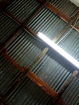 Fizozoo online show from September 21, 4:58 am