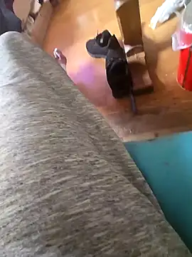 Snapshot of Fonse1860 chatting on October 19, 8:59 am Fonse1860 online show from October 19, 8:59 am