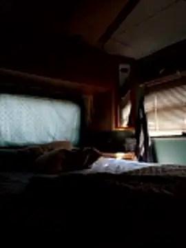 Snapshot of ShawnandDani7074 chatting on December 20, 3:41 pm ShawnandDani7074 online show from December 20, 3:41 pm