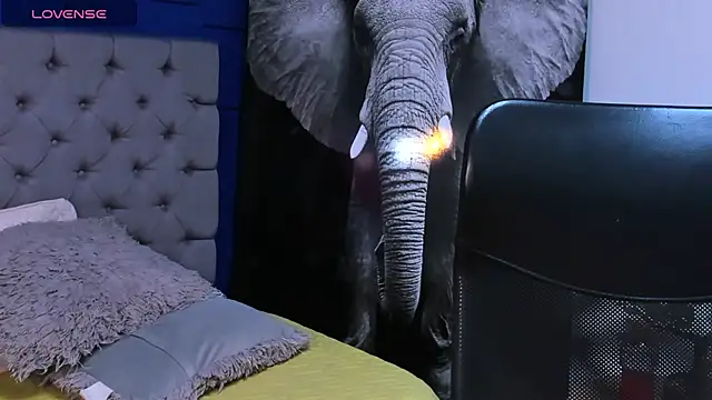 rocoo santos online show from October 10, 12:09 am