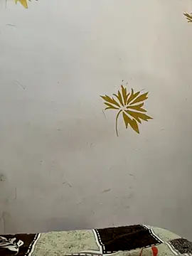 modelnishu online show from October 17, 1:42 am