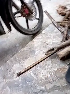 Bibilenu online show from November 9, 10:02 am