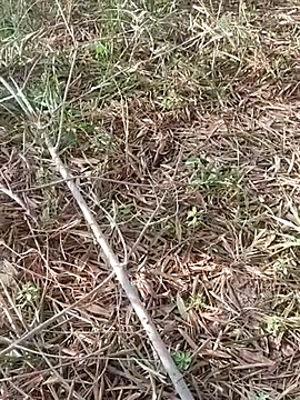 sonotutto online show from October 11, 8:02 am