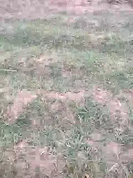 sonotutto online show from October 12, 5:56 pm