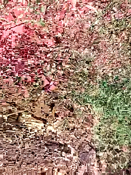 sonotutto online show from October 15, 8:36 am