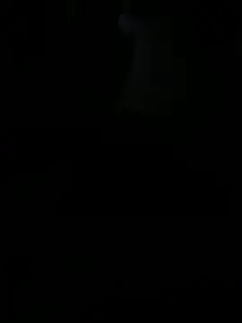 Reeelo online show from November 7, 3:06 am