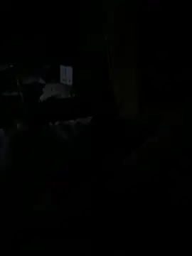 Reeelo online show from December 15, 4:06 am