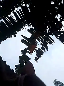 optra34 online show from October 22, 11:37 pm